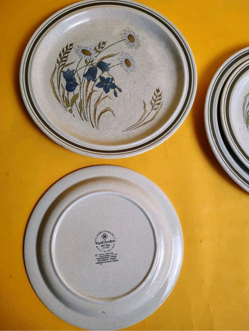 6 Royal Doulton Hill Top Plates Mixed Set (3) Dinner 10.38